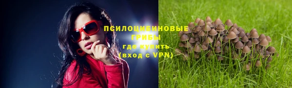 прущие крисы Балахна